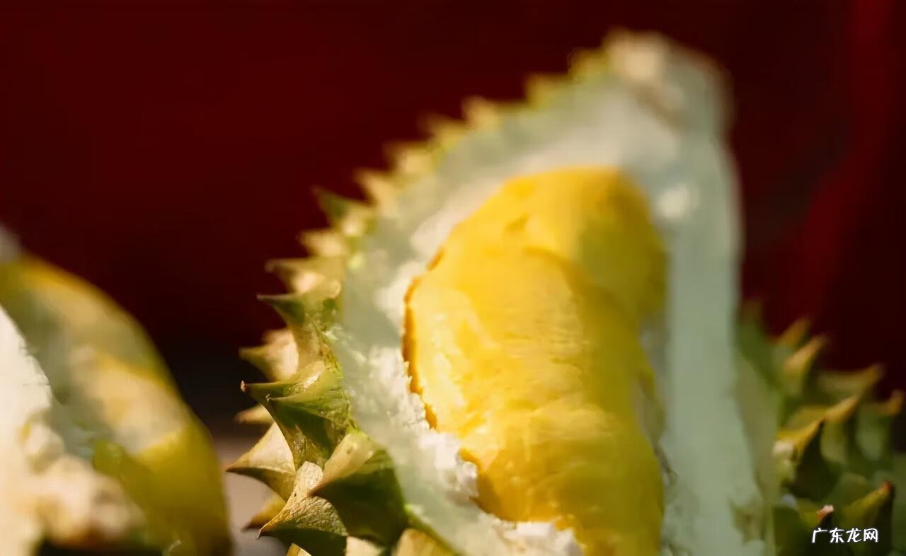 葡萄的英语单词是什么 葡萄的英语单词叫什么