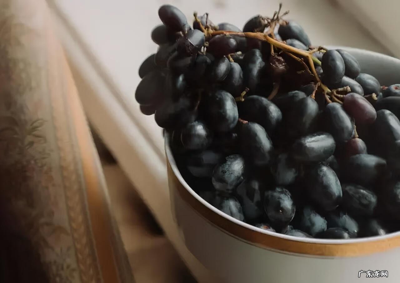 葡萄的英语单词是什么 葡萄的英语单词叫什么