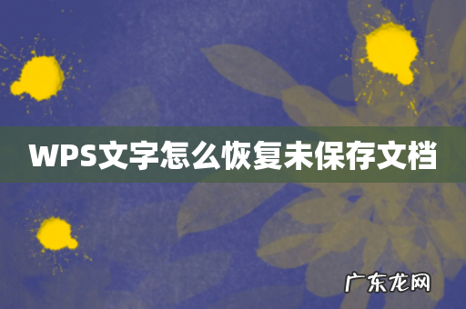 WPS文字怎么恢复未保存文档