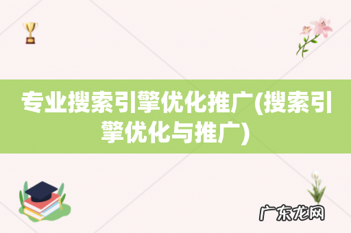 搜索引擎优化与推广 专业搜索引擎优化推广