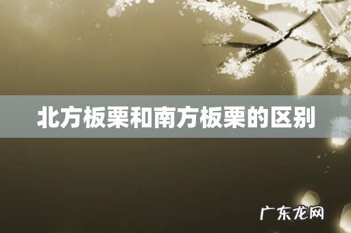 北方板栗和南方板栗的区别