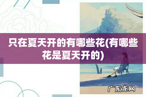 有哪些花是夏天开的 只在夏天开的有哪些花