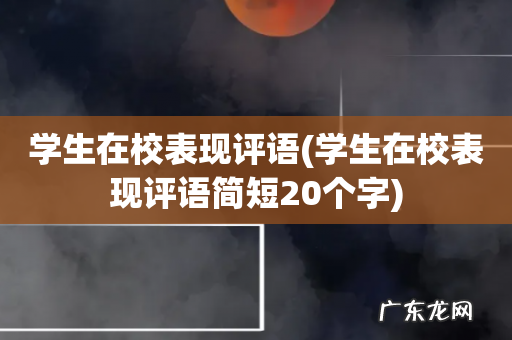 学生在校表现评语简短20个字 学生在校表现评语