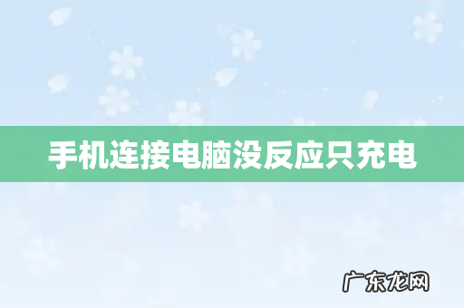手机连接电脑没反应只充电