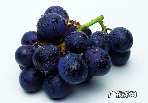 孕妇营养餐食谱大全 孕早期午餐食谱