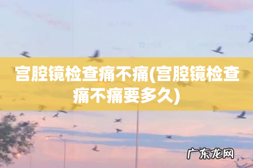 宫腔镜检查痛不痛要多久 宫腔镜检查痛不痛
