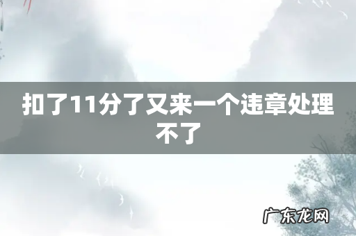 扣了11分了又来一个违章处理不了