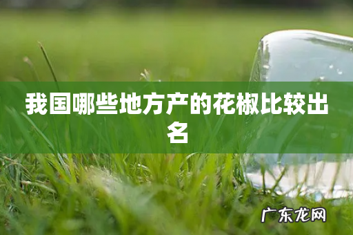 我国哪些地方产的花椒比较出名