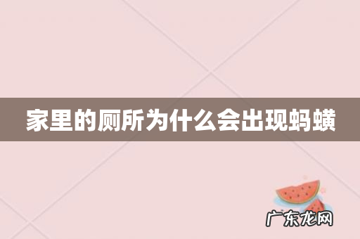 家里的厕所为什么会出现蚂蟥