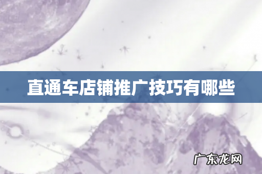 直通车店铺推广技巧有哪些