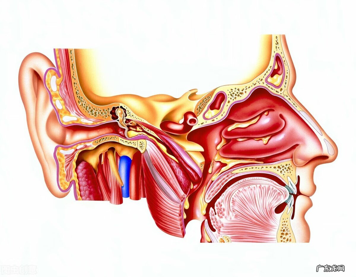 治疗中耳炎最好的方法 中耳炎的治疗方法是什么