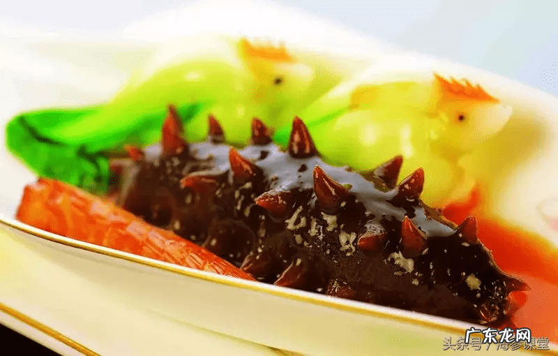 海参的营养价值和功效和禁忌 海参的营养价值和功效