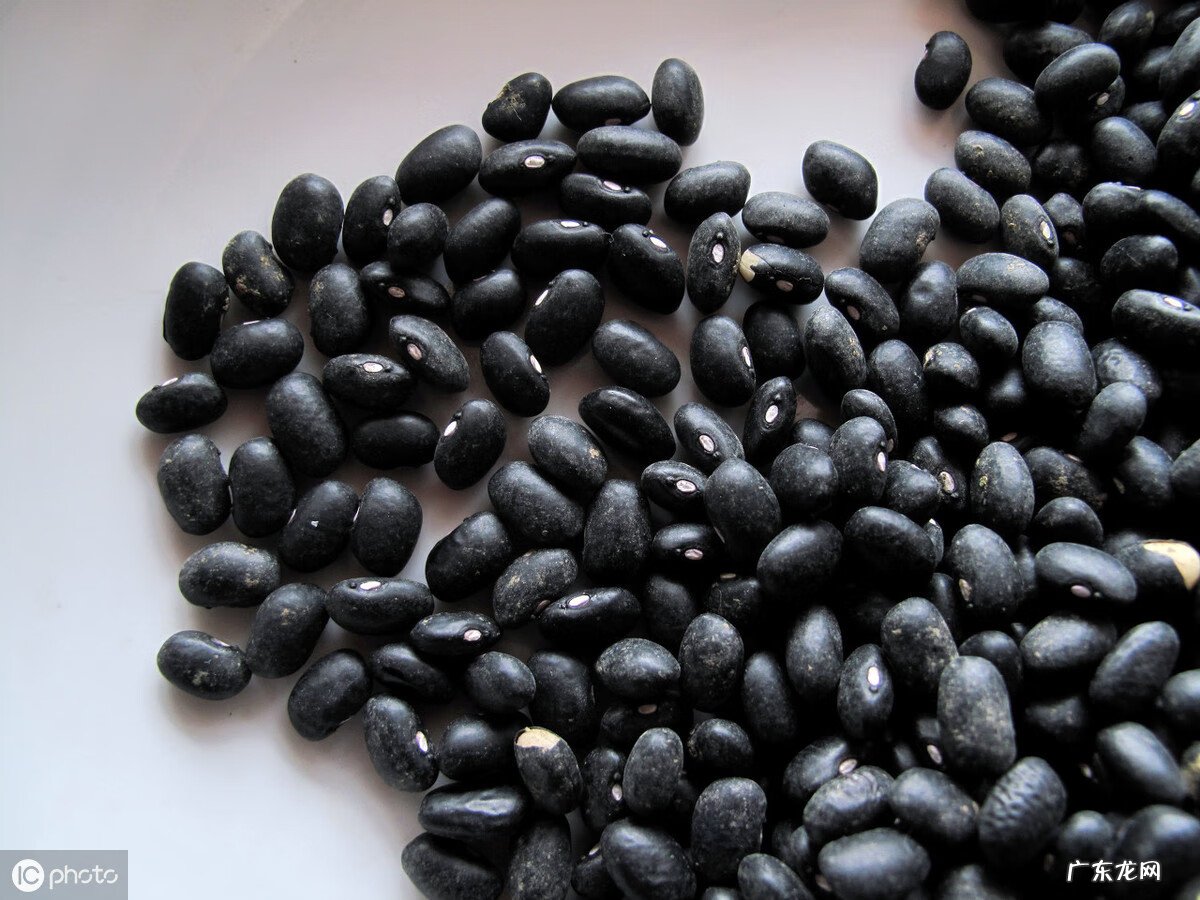 醋泡黄豆的功效与作用及食用方法 醋泡黄豆的做法?