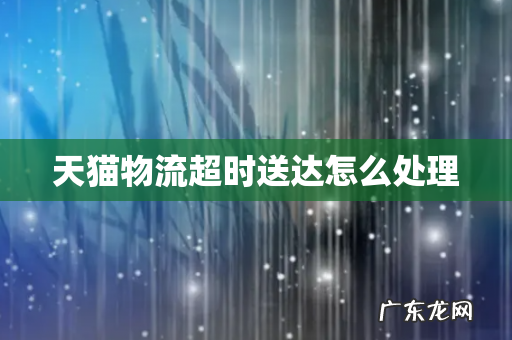 天猫物流超时送达怎么处理