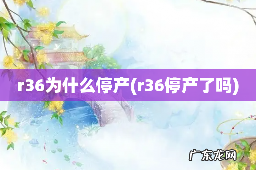 r36停产了吗 r36为什么停产