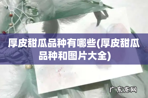 厚皮甜瓜品种和图片大全 厚皮甜瓜品种有哪些