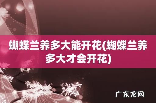 蝴蝶兰养多大才会开花 蝴蝶兰养多大能开花