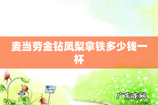 麦当劳金钻凤梨拿铁多少钱一杯