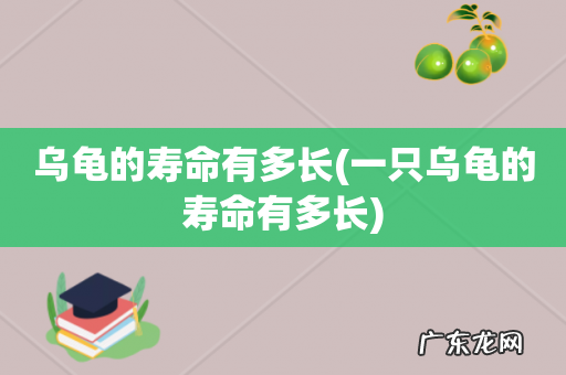 一只乌龟的寿命有多长 乌龟的寿命有多长