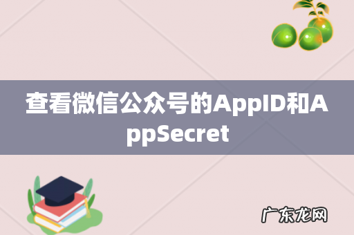 查看微信公众号的AppID和AppSecret