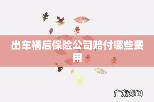 出车祸后保险公司赔付哪些费用