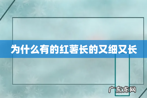 为什么有的红薯长的又细又长