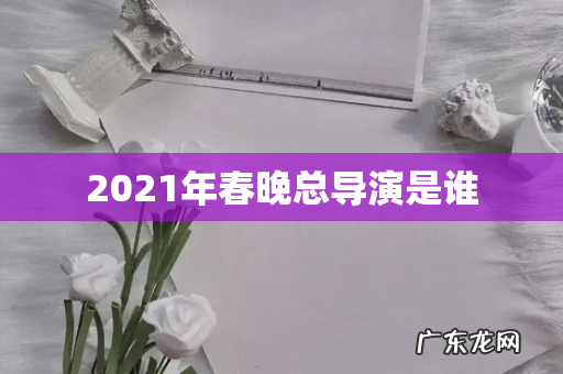 2021年春晚总导演是谁