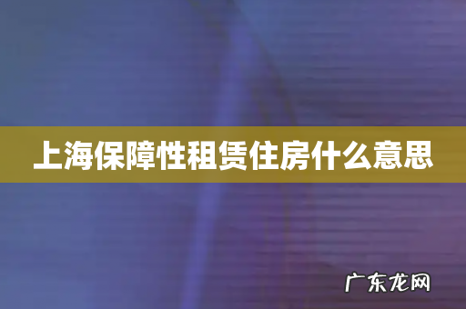 上海保障性租赁住房什么意思