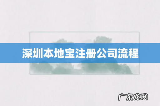 深圳本地宝注册公司流程