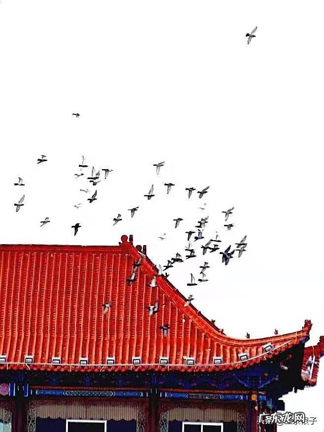 张掖至高台电话 张掖高台景点