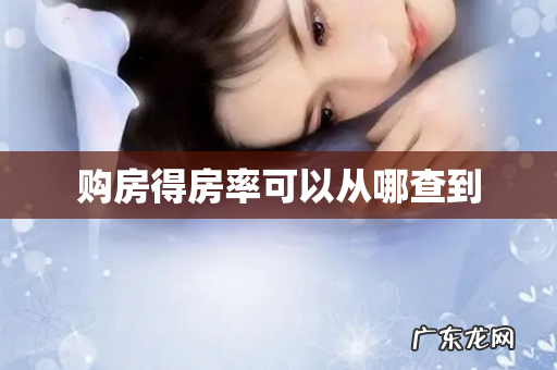 购房得房率可以从哪查到