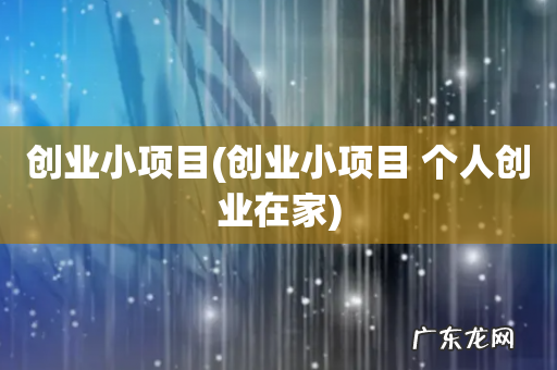 创业小项目 个人创业在家 创业小项目