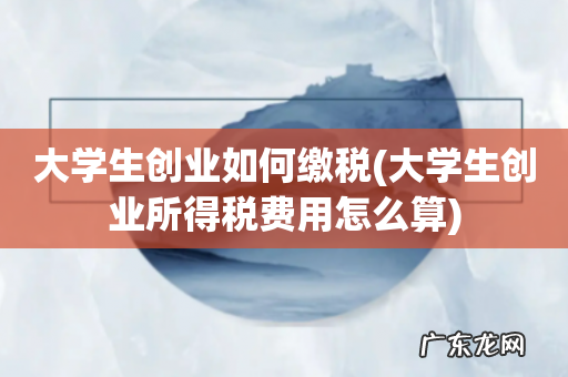 大学生创业所得税费用怎么算 大学生创业如何缴税