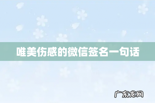 唯美伤感的微信签名一句话