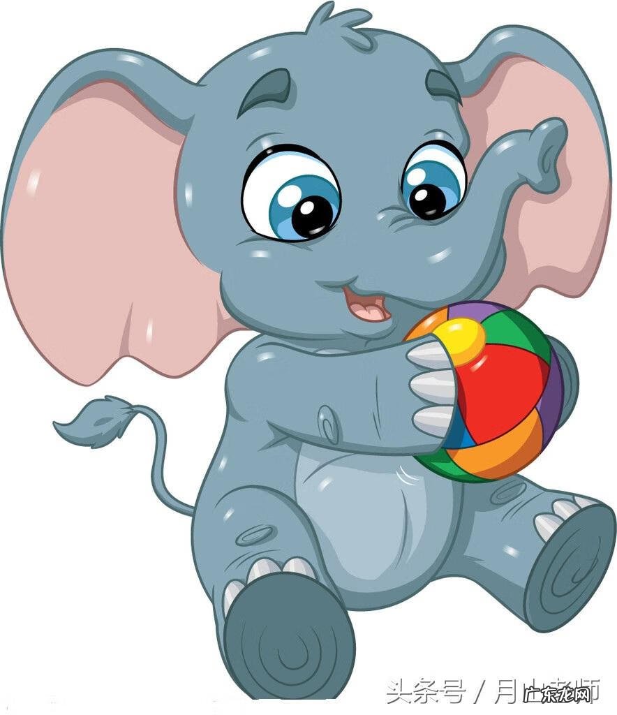 可爱的小马作文 梦见可爱的小马