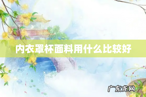 内衣罩杯面料用什么比较好
