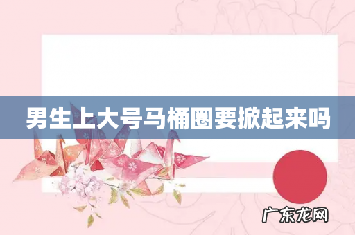 男生上大号马桶圈要掀起来吗