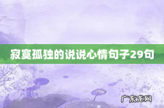 寂寞孤独的说说心情句子29句