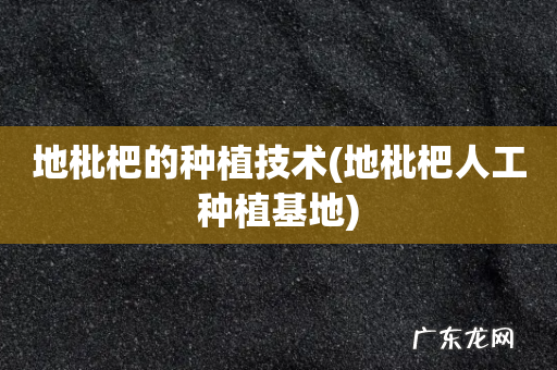 地枇杷人工种植基地 地枇杷的种植技术