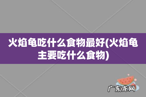 火焰龟主要吃什么食物 火焰龟吃什么食物最好