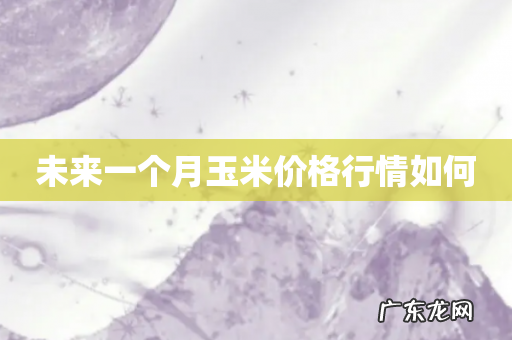 未来一个月玉米价格行情如何