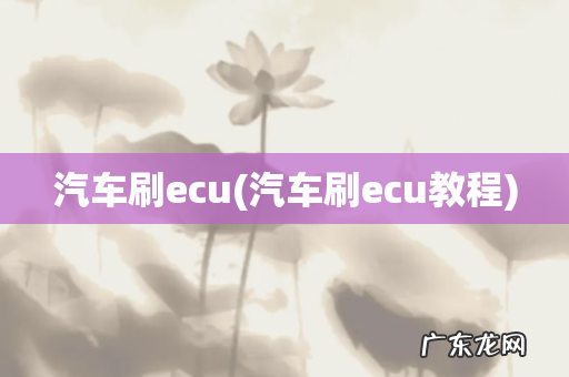汽车刷ecu教程 汽车刷ecu