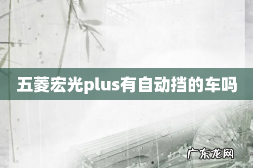 五菱宏光plus有自动挡的车吗