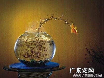 风水运势 财运好的风水