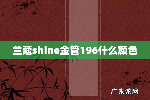 兰蔻shine金管196什么颜色