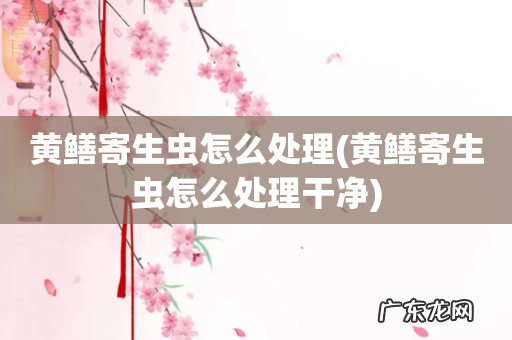 黄鳝寄生虫怎么处理干净 黄鳝寄生虫怎么处理