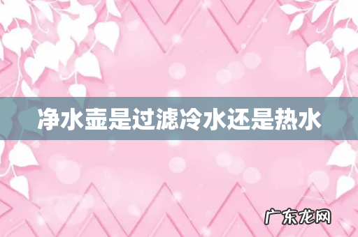 净水壶是过滤冷水还是热水