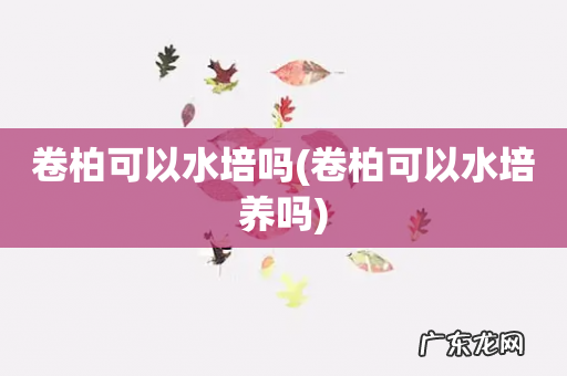 卷柏可以水培养吗 卷柏可以水培吗