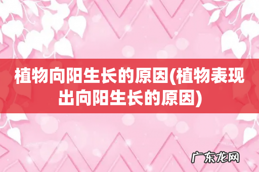 植物表现出向阳生长的原因 植物向阳生长的原因