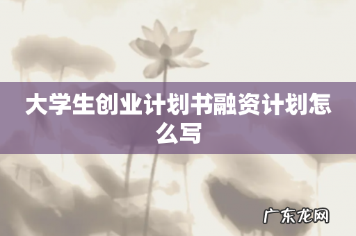 大学生创业计划书融资计划怎么写